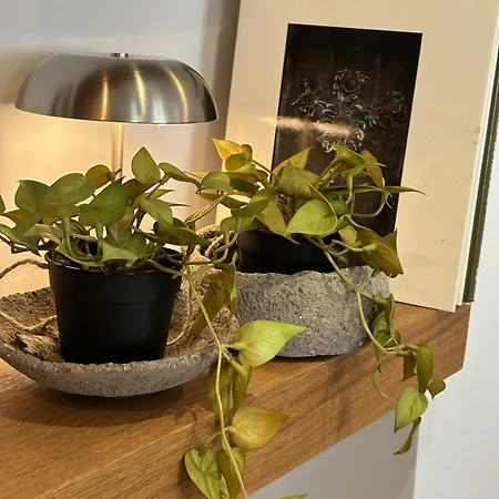 アパート A 100 Metros De La Playa Zurriola *