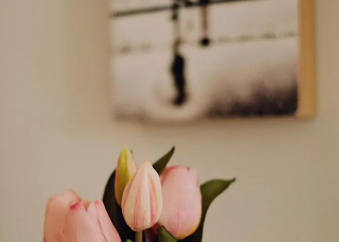 Apartment A 100 Metros De La Playa Zurriola *