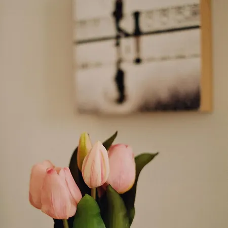 شقة A 100 Metros De La Playa Zurriola *